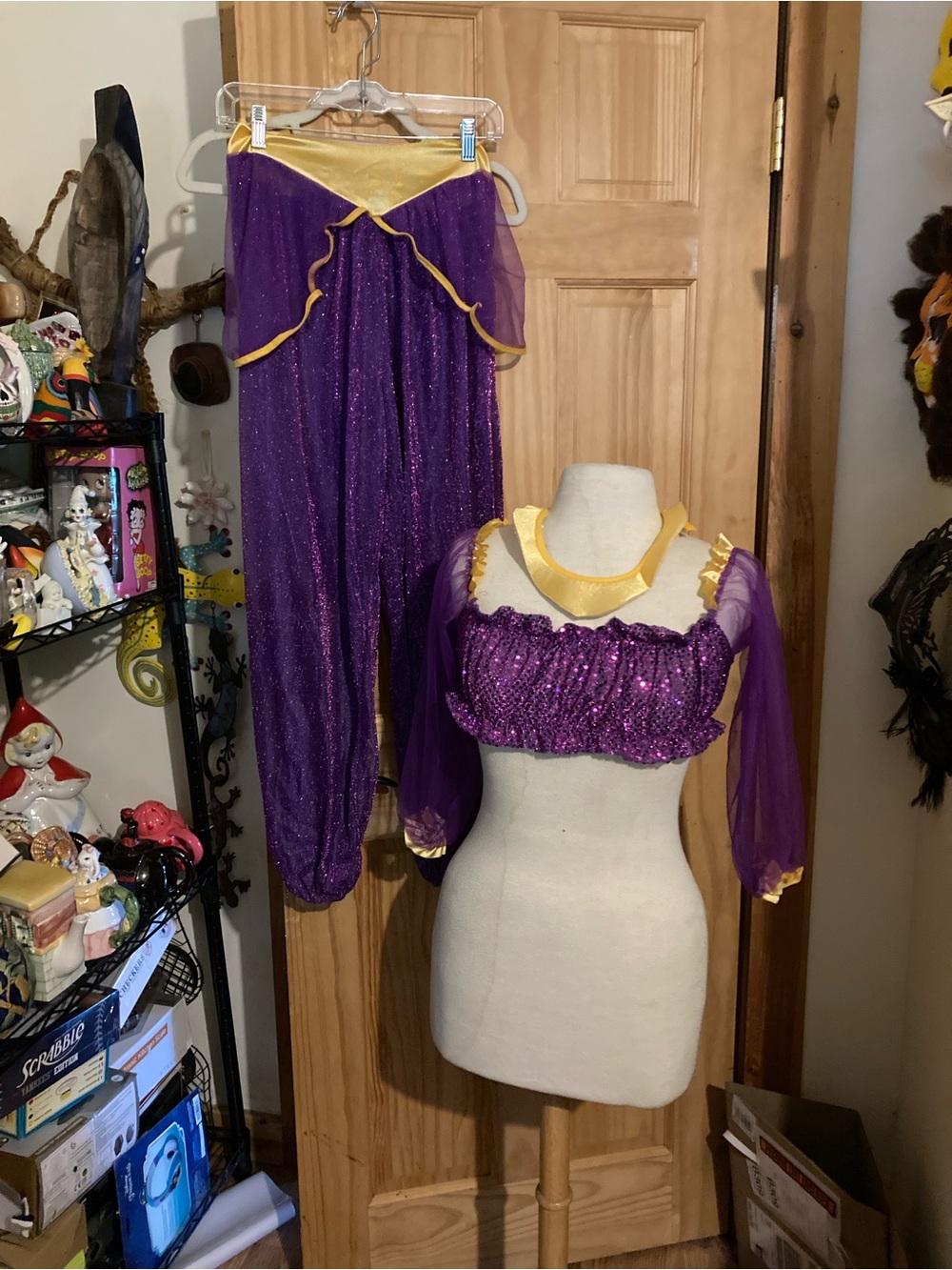 Disguise Disney adult Jasmine costume/cosplay